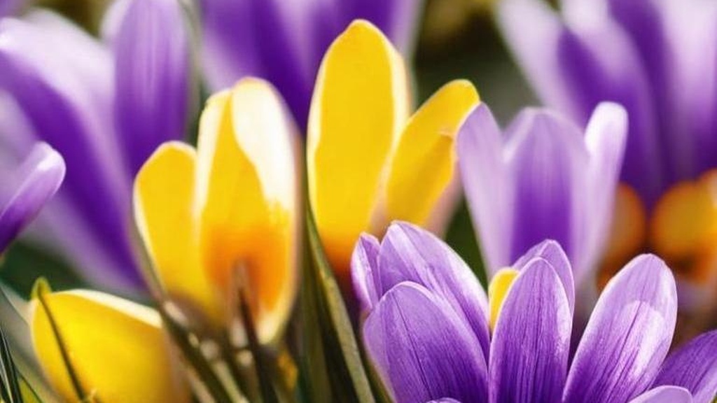 Featured image of post Секс и спорт: можно ли заменить тренировки интимной жизнью?